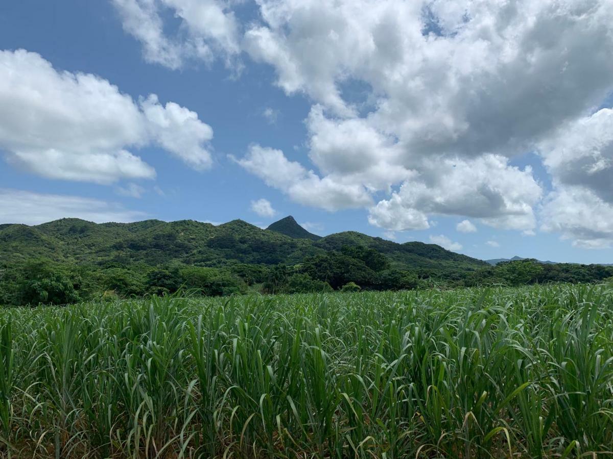 Villa Sound Of The Surf Ishigaki  Exterior foto