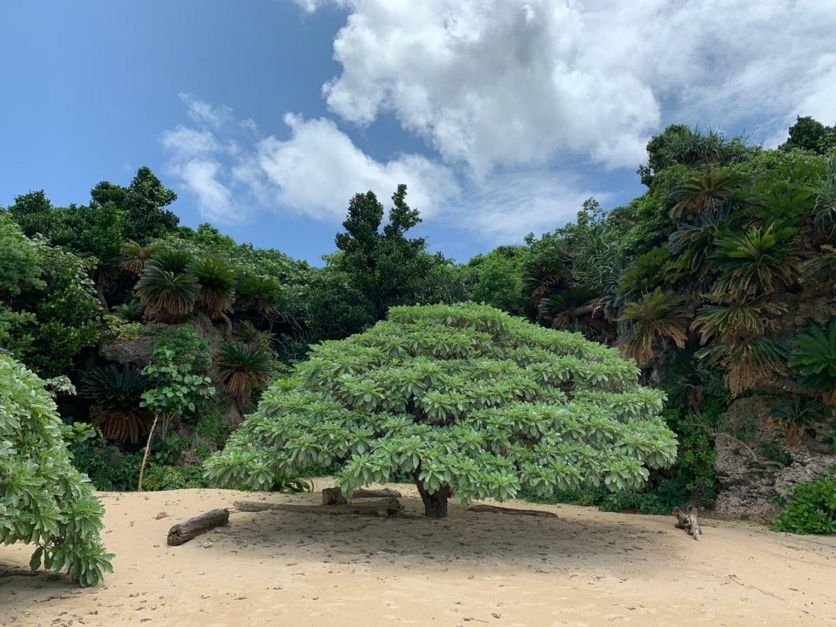 Villa Sound Of The Surf Ishigaki  Exterior foto